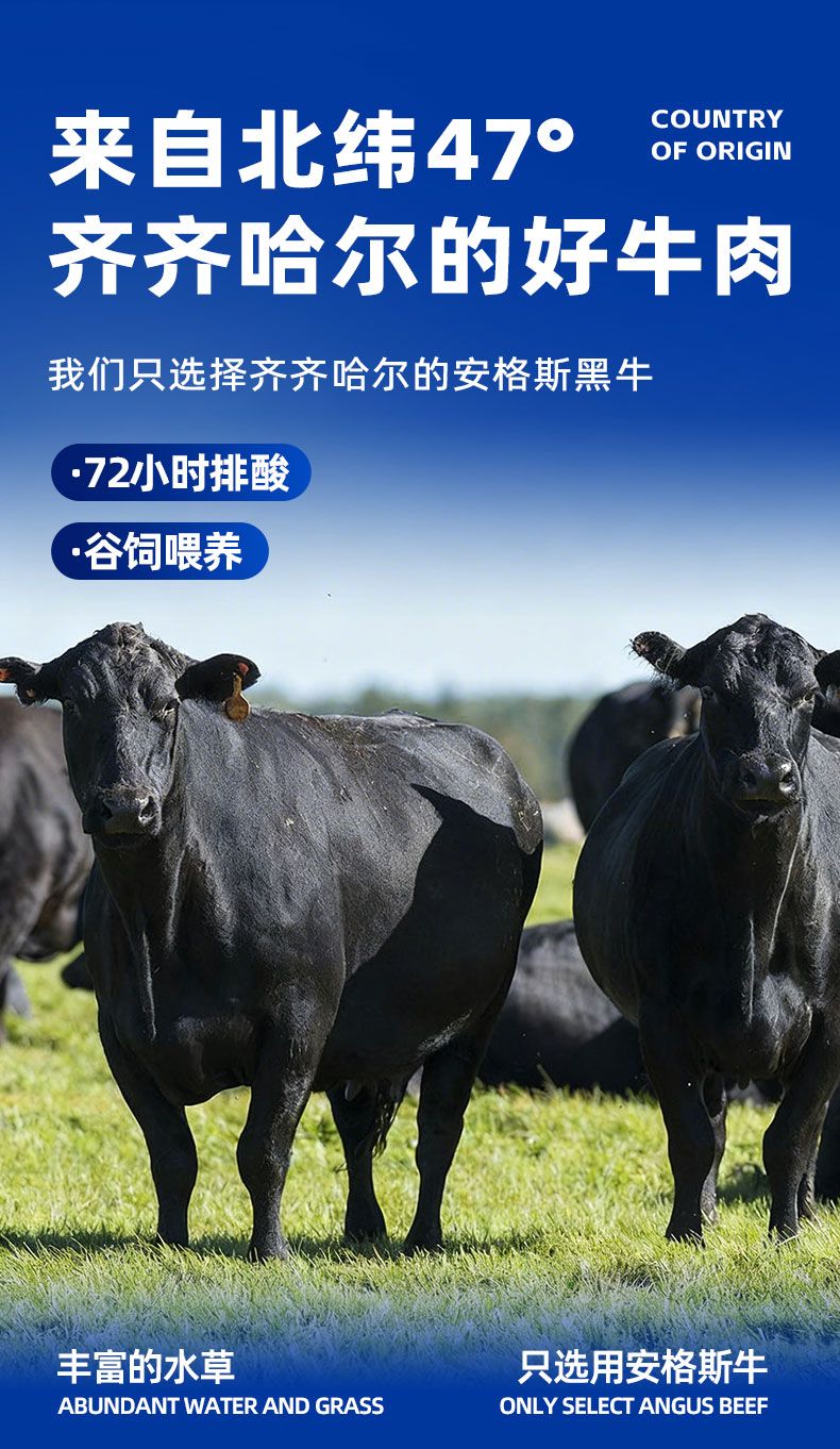 草原牧场